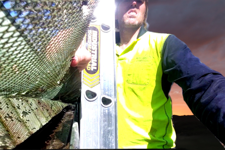 Local merimbula Gutter Cleaner Displays Newly Cleaned Gutter and Guards