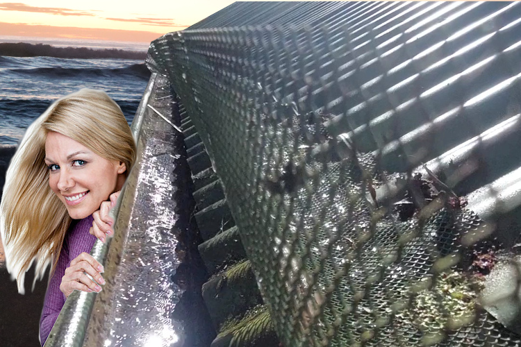Observant merimbula Woman Checks Freshly Cleaned Gutter with Guards