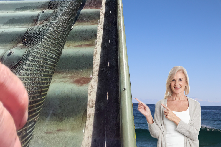 Gutter Guard Refresh: merimbula Woman`s Pleasure in Cleaning Outcome